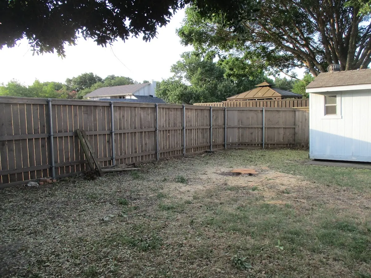 Cleared yard after professional tree removal in Cabot
